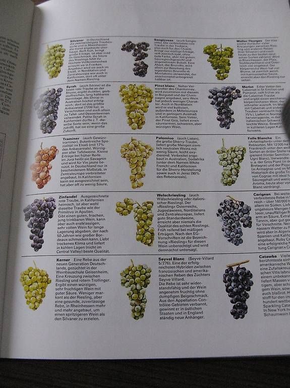 Bücher: Weinatlas – Gebraucht aus Grenchen von eule43 1