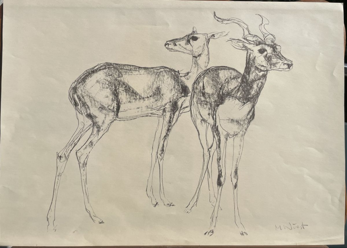 Grafica & Litografie: M. Wuest antilopes Koudou lithographie – Usato da Biel/Bienne venduto da Galaq