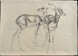 M. Wuest antilopes Koudou lithographie
