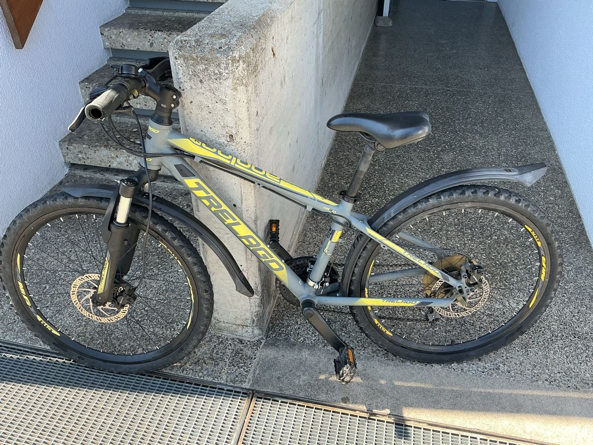 Trelago Biciclette: Trelago Mountainbike  – Usato da Mühleberg venduto da M-Oscar