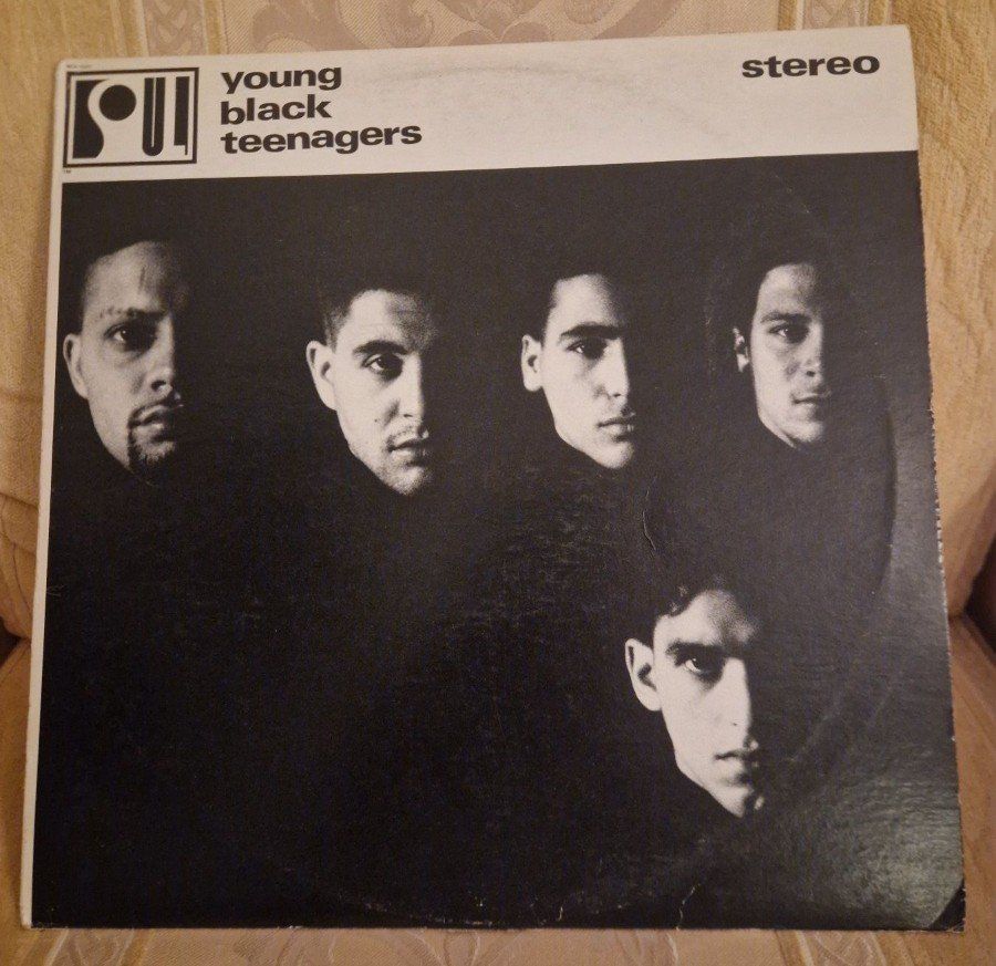 Dischi in vinile: Vinyl / YBT - LP – Usato da Schönenwerd venduto da CAN51