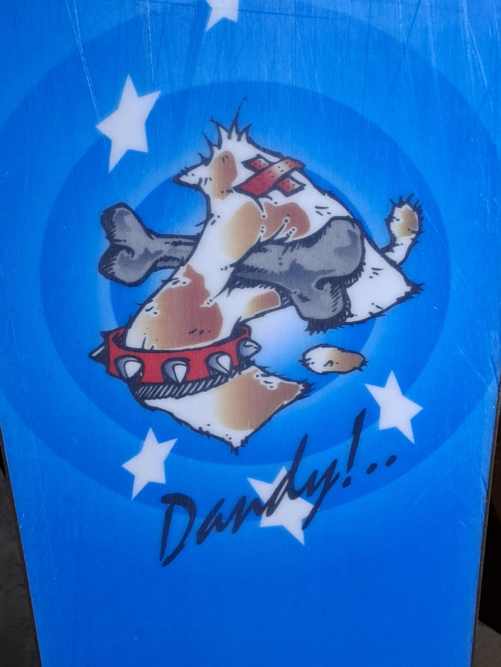 Board: Snowboard Dandy 158 cm – Usato da Morens FR venduto da Kiscica 5