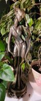 Spezielle Statue Bronce? Bronze?