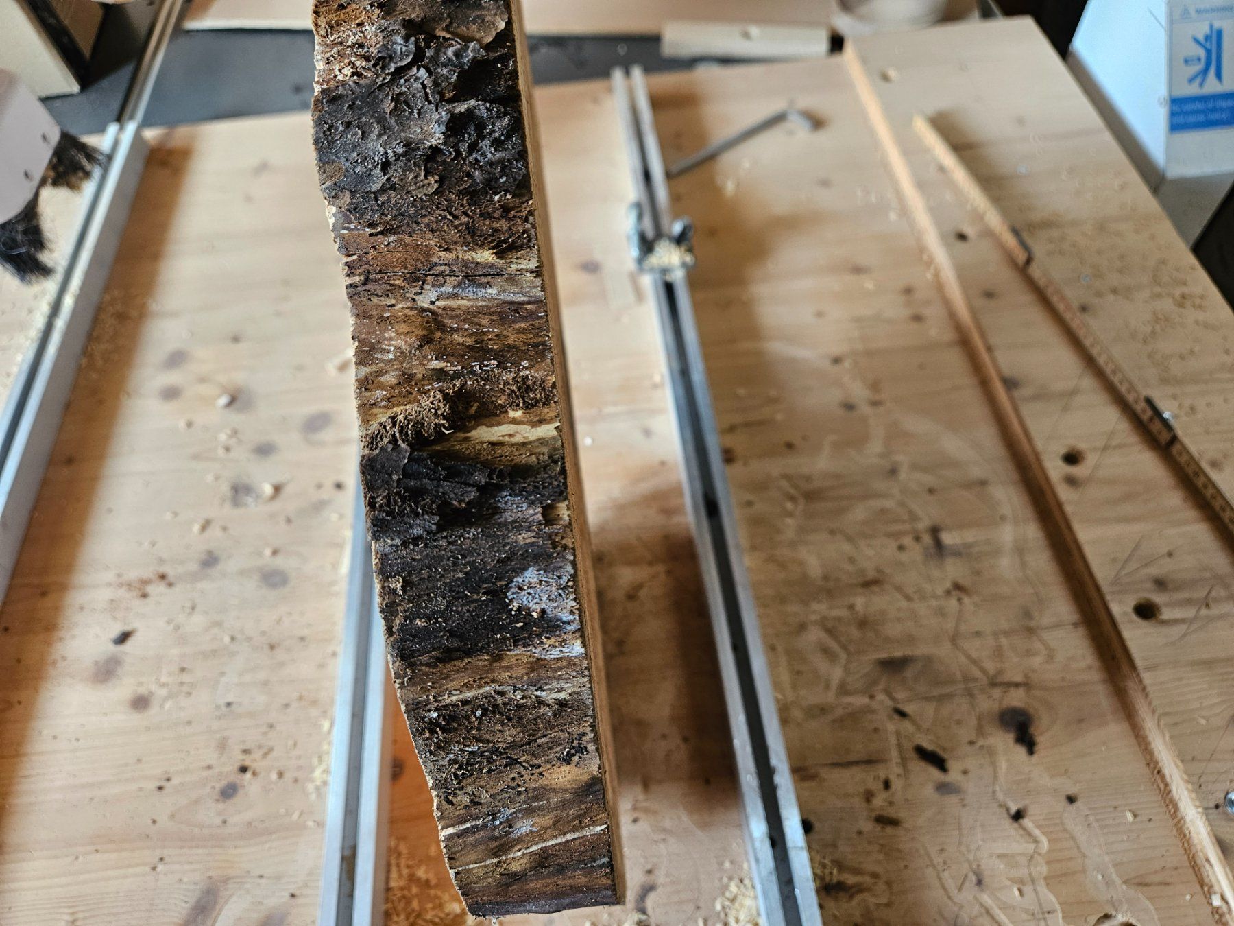 Articles en bois: Baumscheibe Kirschbaum Holz – Neuf (Voir description) à Schangnau par egli6.2 1