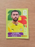 Panini Fifa Sen 3