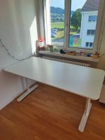 Schreibtisch IKEA Trotten (büro)