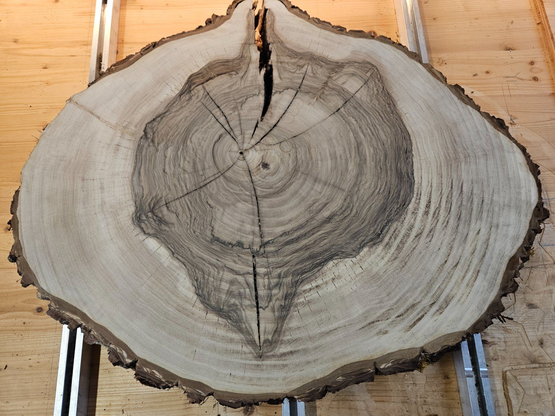 Articoli in legno: Nussbaum Holz Baumscheibe – Nuovo (secondo la descrizione) da Schangnau venduto da egli6.2 5