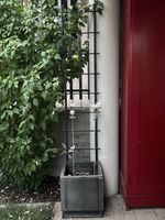 Set: Rankhilfe aus Metall mit Blumentopf aus Kunststoff
