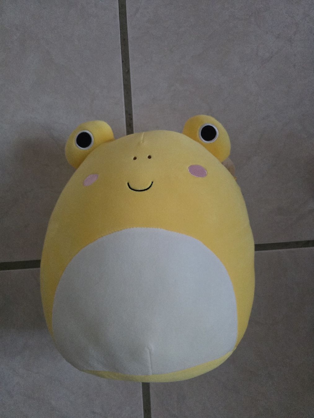 Figuren: Squishmallow Frosch Leigh – Gebraucht aus Büsserach von sobis.trade