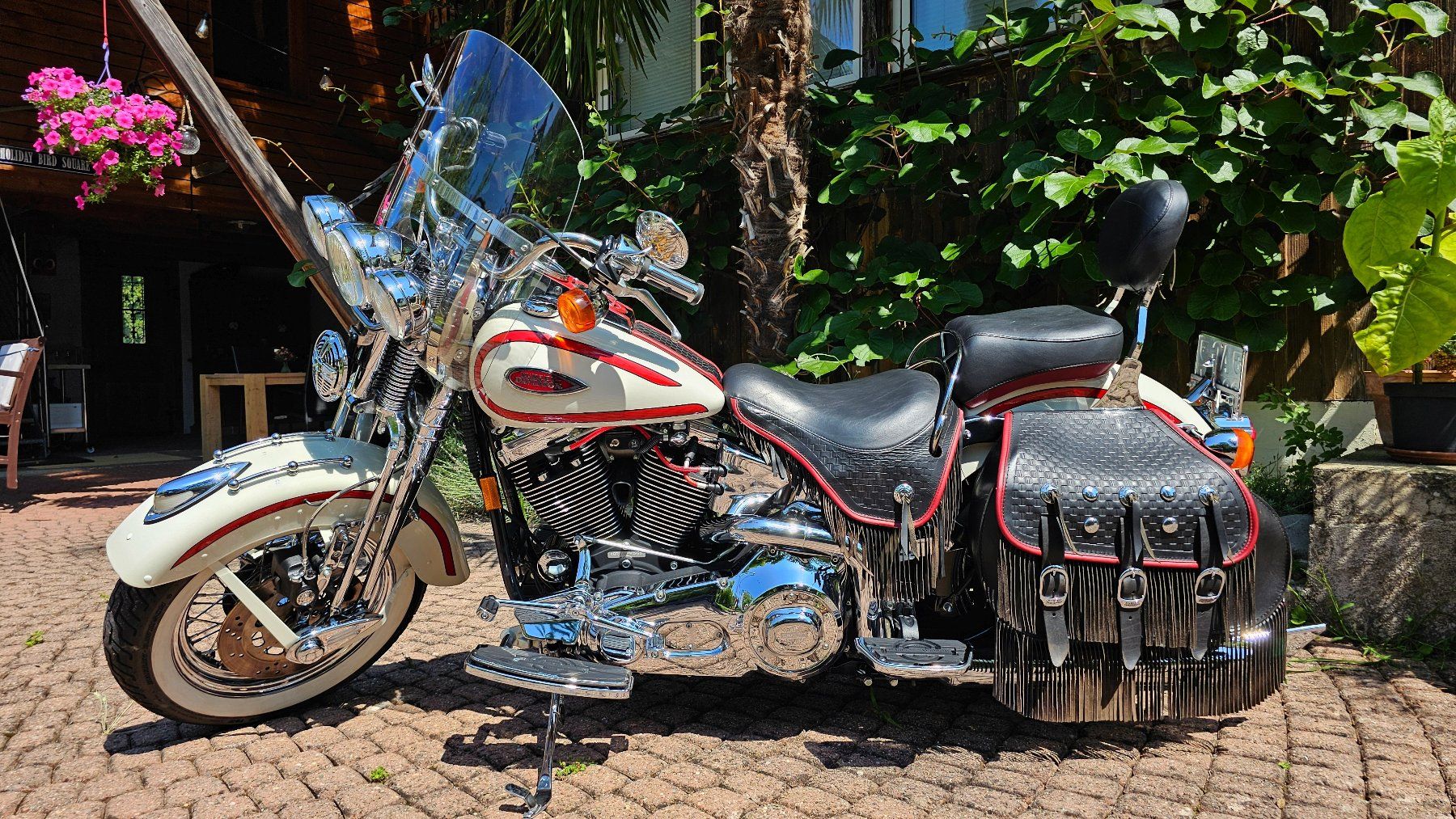 Harley-Davidson Chopper: HARLEY-DAVIDSON FLSTS Heritage Springer – Usato da Gränichen venduto da favo 9