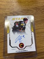 Victor Ejdsell SCB Signet Stars Sportzoo