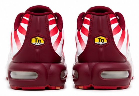 Nike Chaussures hommes: Nike Air Max TN – Neuf (Voir description) à Kriens par Asantos3 2