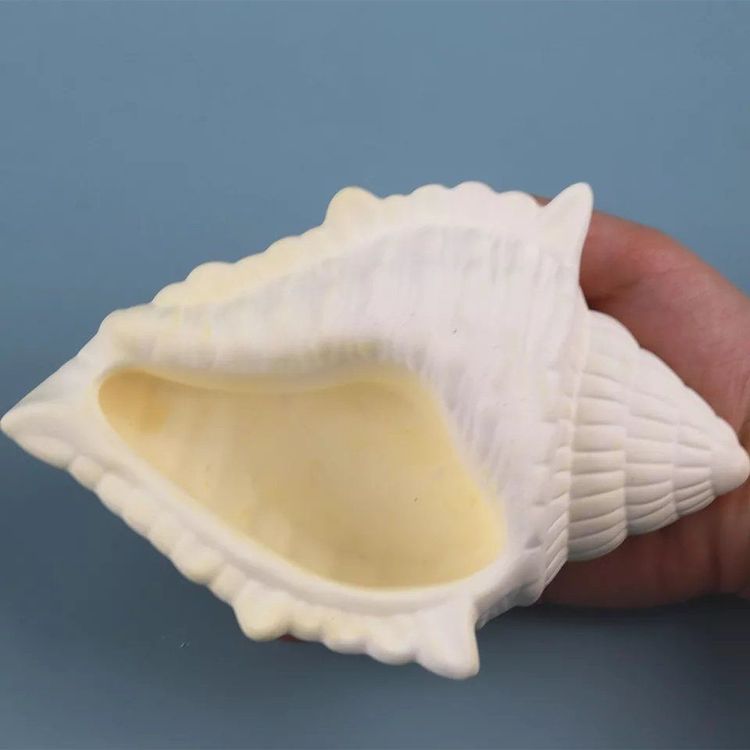 3D Meerestiere Silikonformen - Muschel & Seestern Backformen