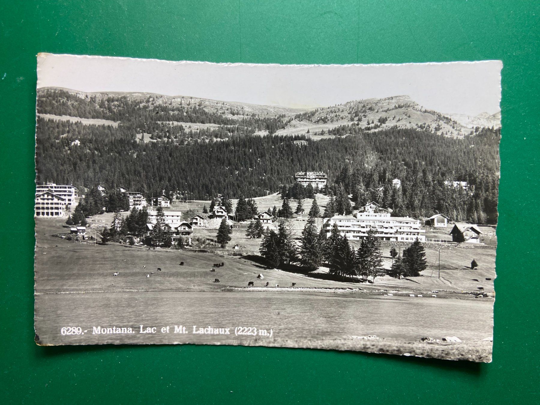 Cartoline postali: Montana - Lac – Usato da Steg VS venduto da danwer74
