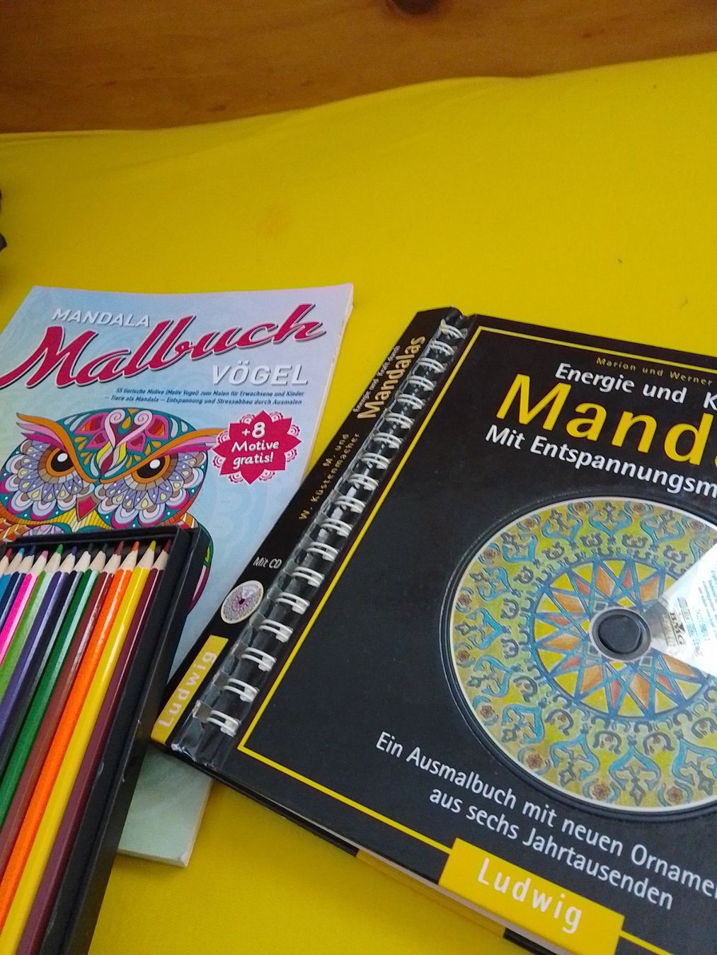 Bücher: 2 Mandala Malhefte mit neuen Fatbstiften – Gebraucht aus Weinfelden von PaterPio1968