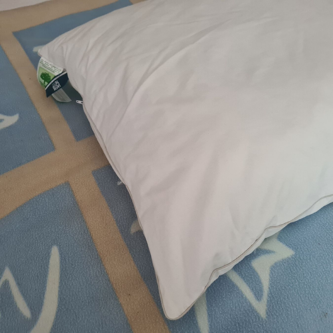 Cuscini: Kopfkissen 60x60 cm – Usato da Steinen venduto da turbogeiss99 1