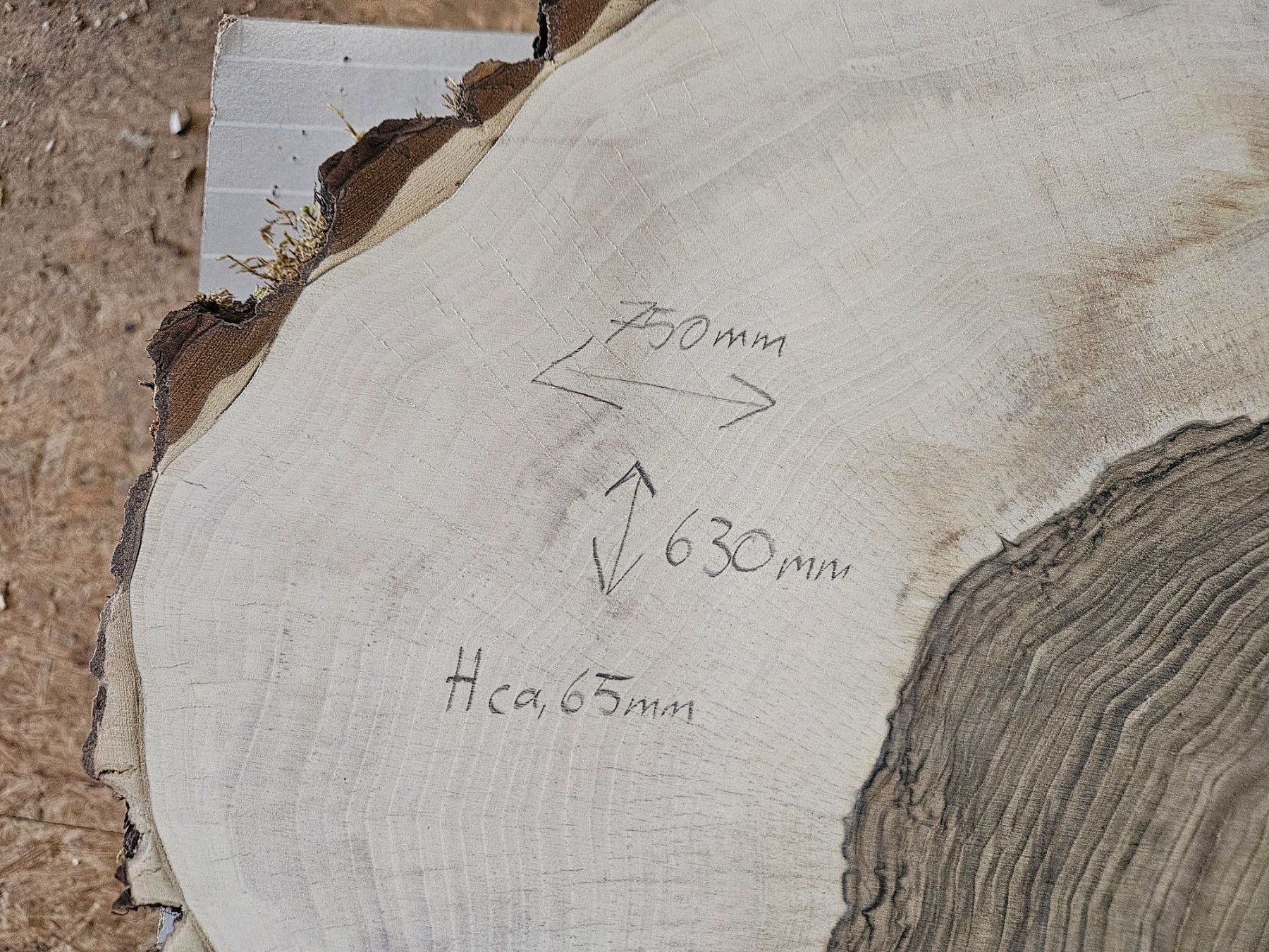 Holzartikel: Nussbaum Holz Baumscheibe – Neu (gemäss Beschreibung) aus Schangnau von egli6.2 1