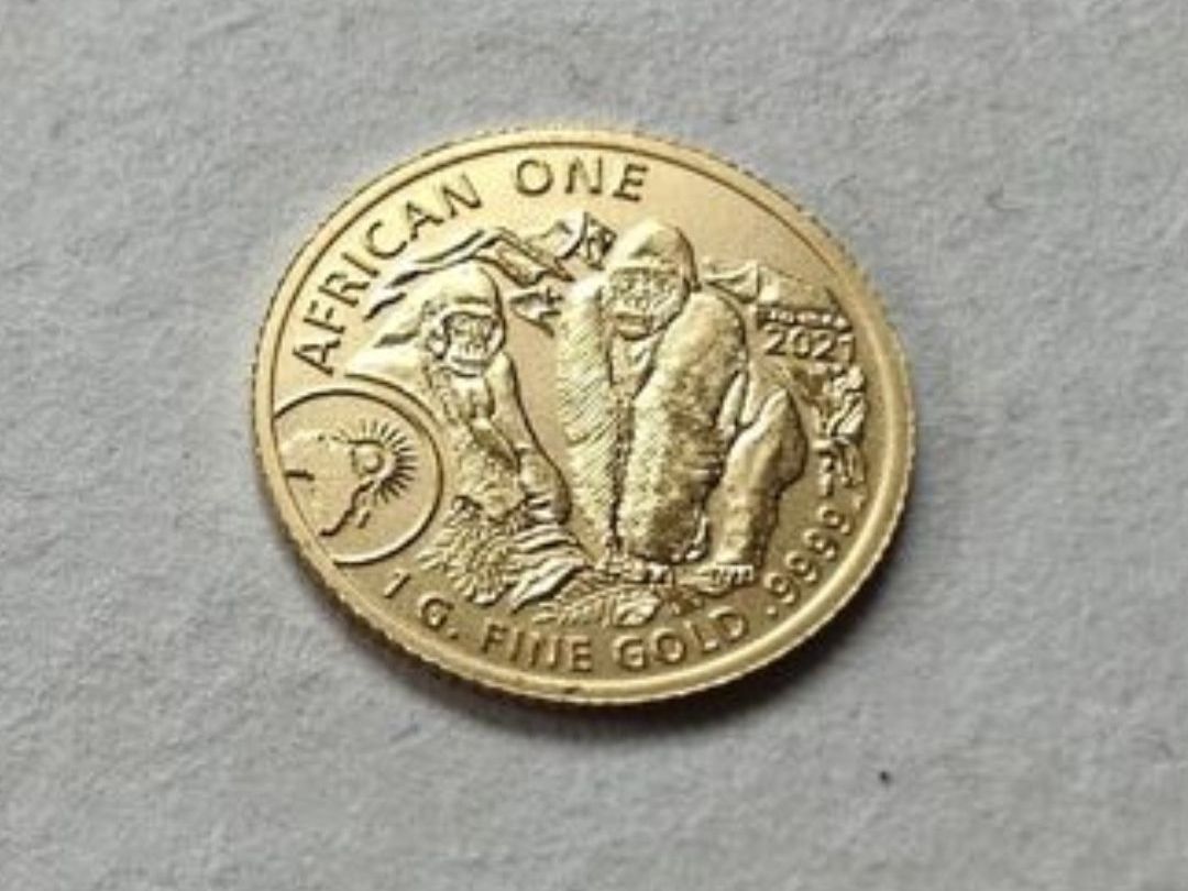 Alle Münzen: 1G Gorilla 999.9 – Neu (gemäss Beschreibung) aus Neuhausen am Rheinfall von GoldboX-8