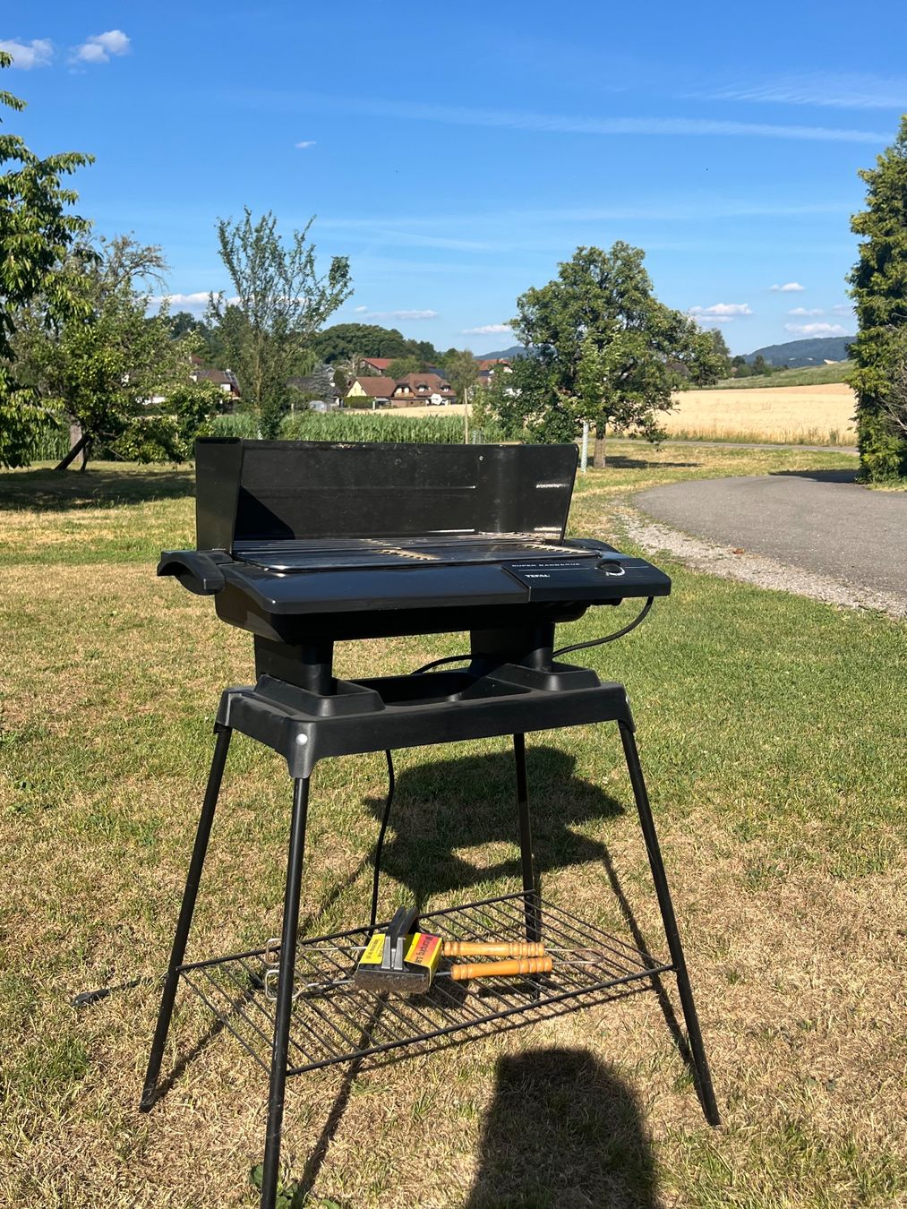 Tefal Griglie: Elektrogrill Tefal – Usato da Allmendingen b. BE venduto da juair