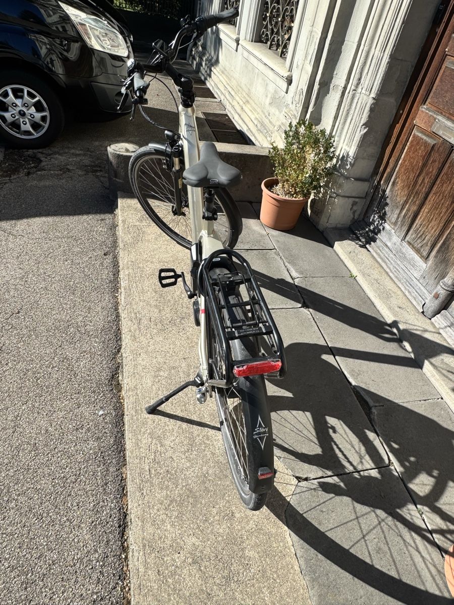 Flyer Velos: Flyer Damen E-Bike Grösse M  – Defekt aus Wattwil von PepperX 2