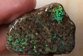 South Australia Andamooka Rohopal 42.00