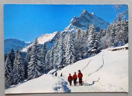 Braunwald, Ortstock, das Wahrzeichen von Braunwald