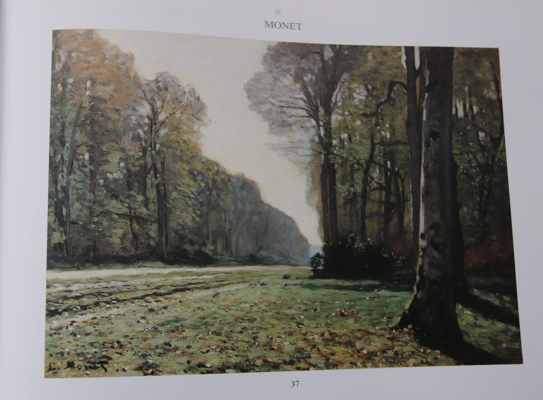 Bücher: Monet von Janice Anderson – Gebraucht aus Glattfelden von Sirax 6