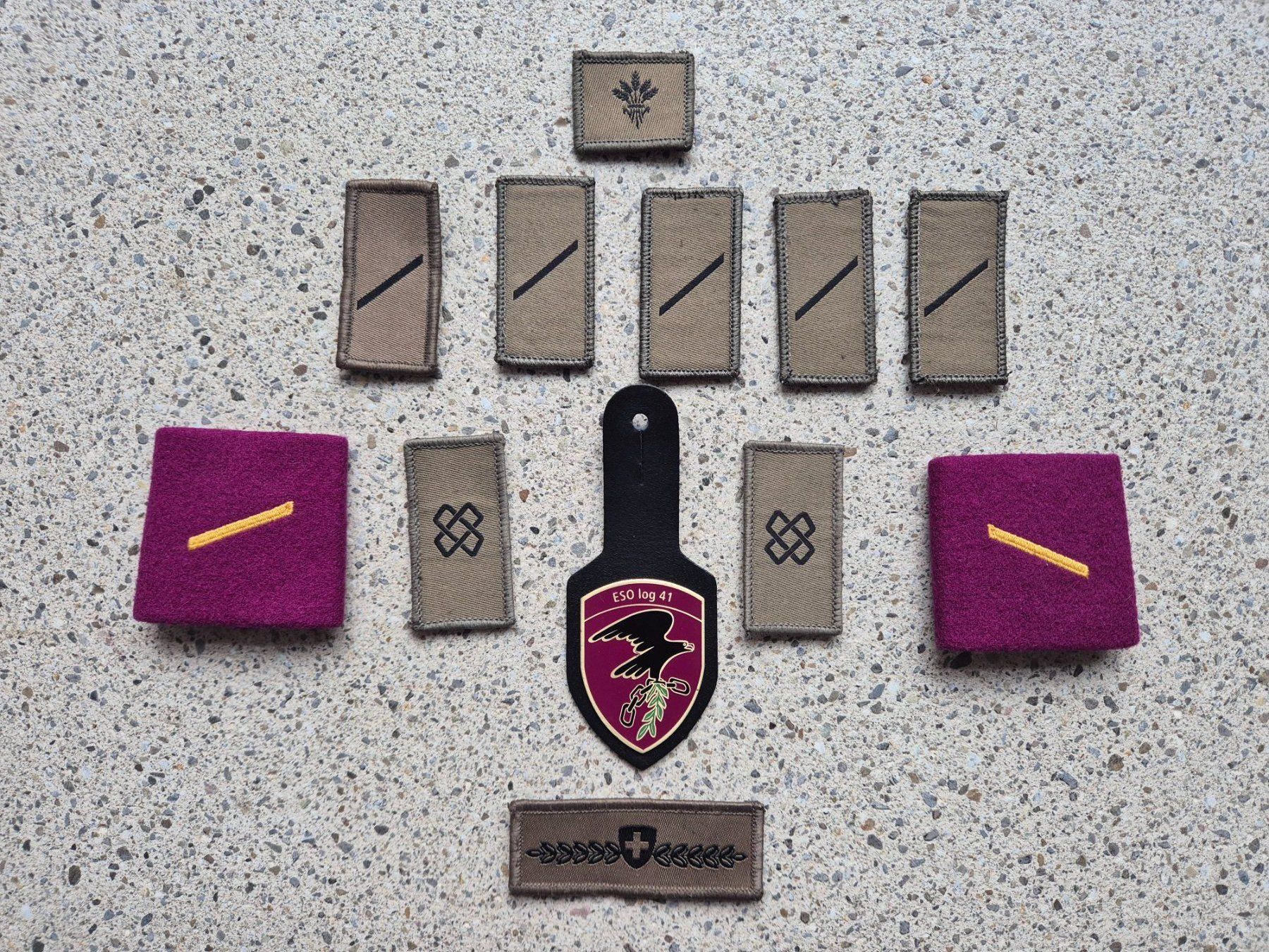 Schweizer Armee Placchette & Badge: *** Abzeichen Set Logistik Set Soldat *** – Usato da Riedholz venduto da fr_sIruP