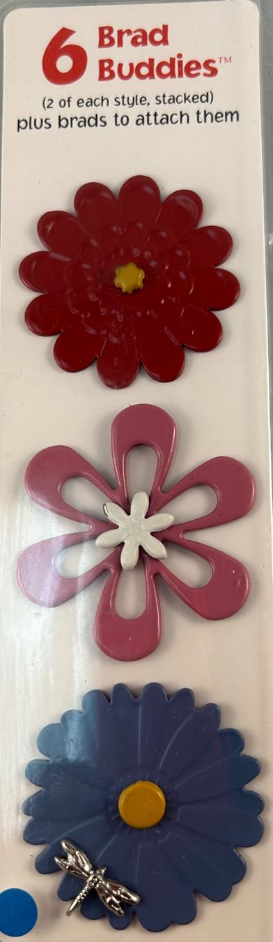 Kit bricolage: 4 Packs Decorative Brads – Nuovo (secondo la descrizione) da Wichtrach venduto da Mona1994 5