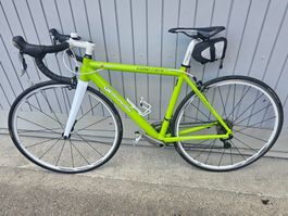 Rennvelo RH 50 cm