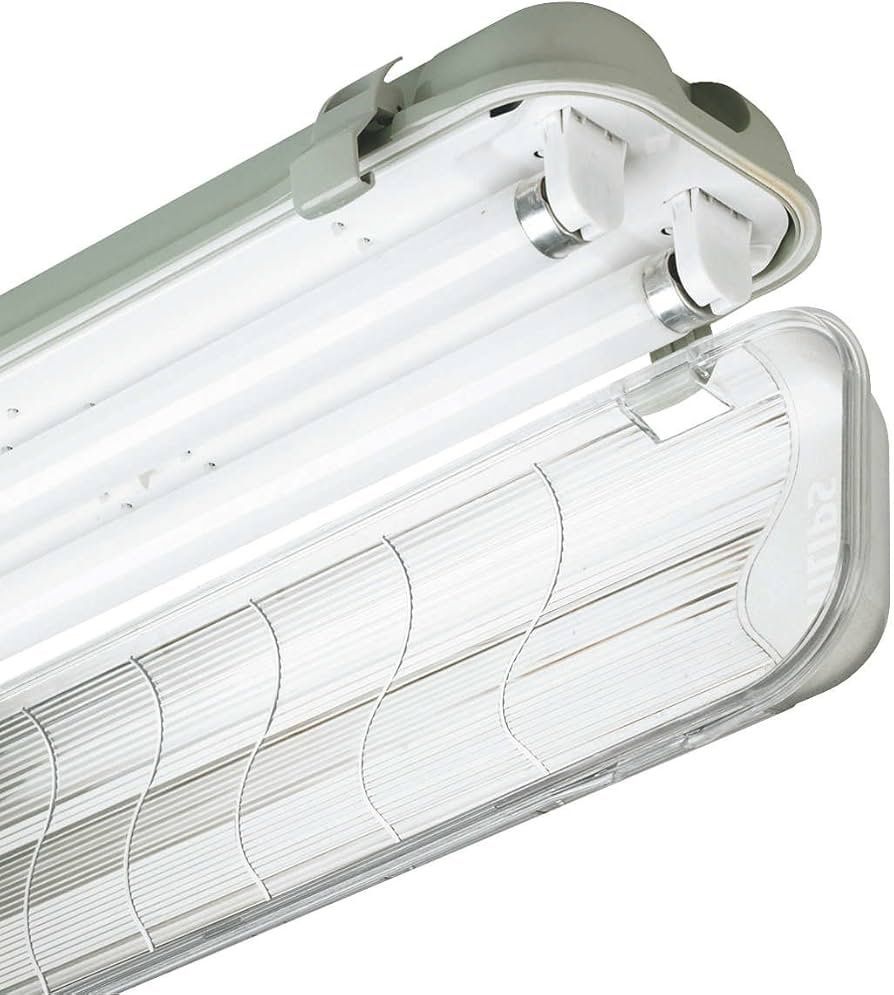 Philips Lampadari & plafoniere: Philips TCW060 Deckenbeleuchtung / 2 Stück – Nuovo (secondo la descrizione) da Therwil venduto da Blackauktionator 1
