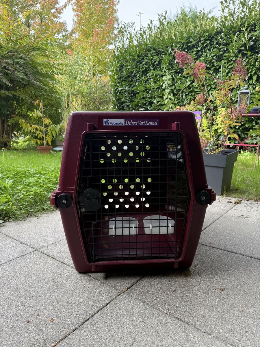 Gabbie, trasporto & Sicurezza: Caisse de transport Vari Kennel Deluxe Médium – Usato da Lausanne venduto da Keloa 2