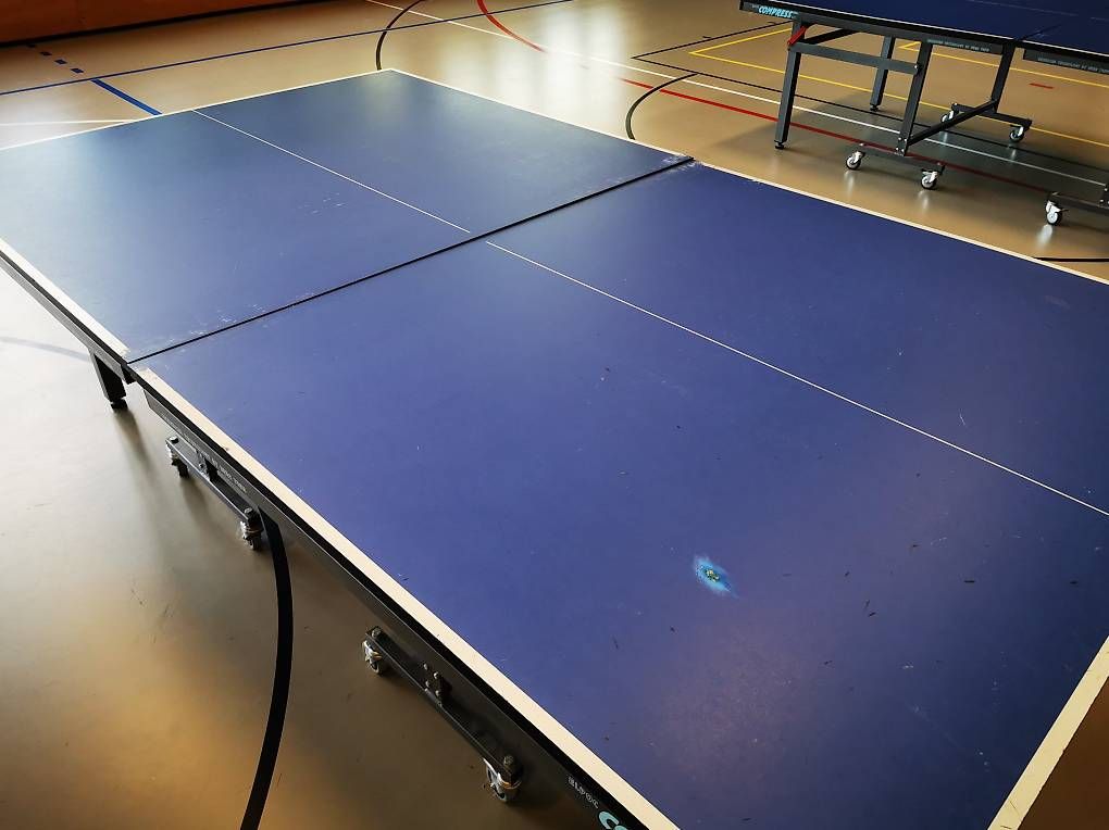 Tennis da tavolo: Indoor-Tischtennistisch – Usato da Rüti ZH venduto da Ttcrts 2