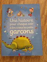 Livre en français- Une histoire à lire pour garcin
