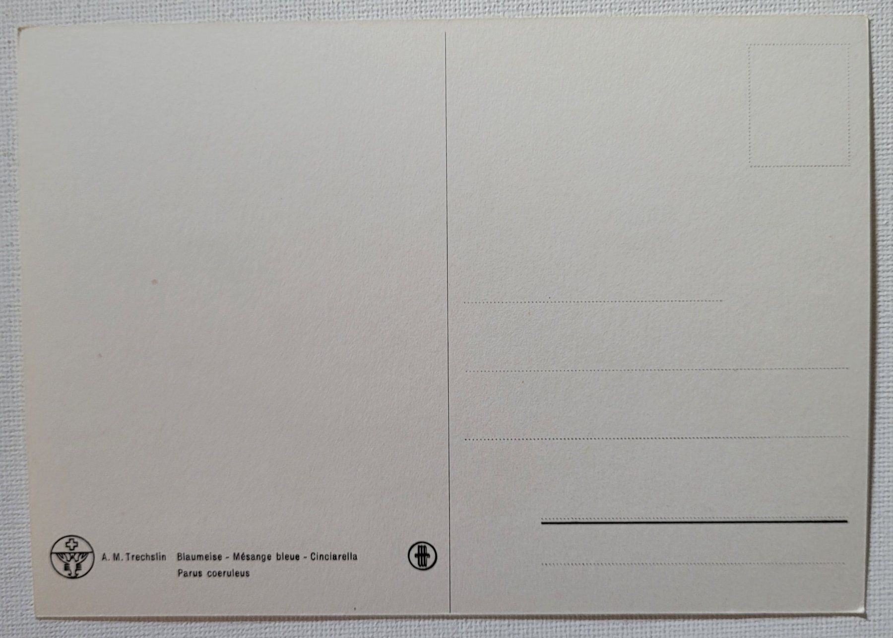 Ansichtskarten: BLAUMEISE – MESANGE BLEUE – Neu (gemäss Beschreibung) aus Neftenbach von Mador6 1