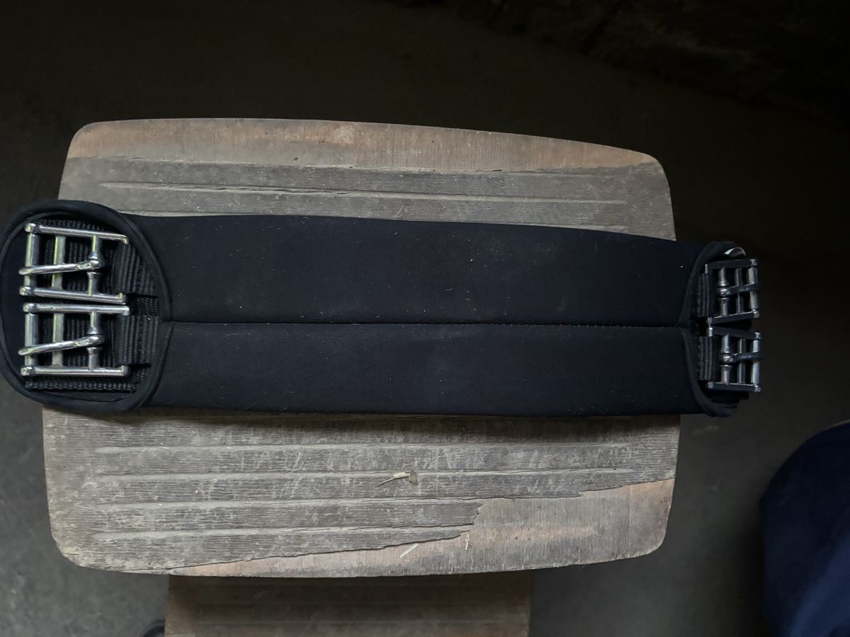 Selle & Accessori: Kurzgurt, 40cm – Usato da Möhlin venduto da Muehlfni