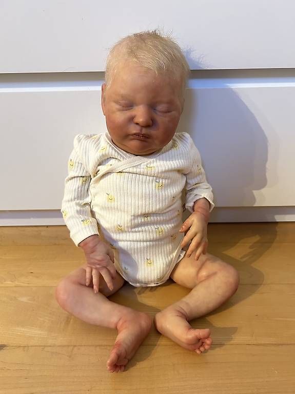 Puppen: Reborn – Gebraucht aus Baden von Nadinefischli 1