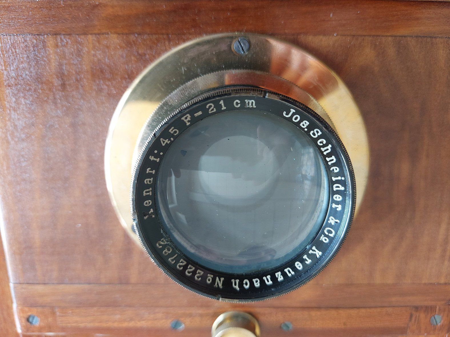 Fotocamera: Antike Balg Kamera Field Camera – Usato da Gersau venduto da jonen01 6