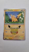 🇨🇵 30C 45 23 Pikachu Pokemon 