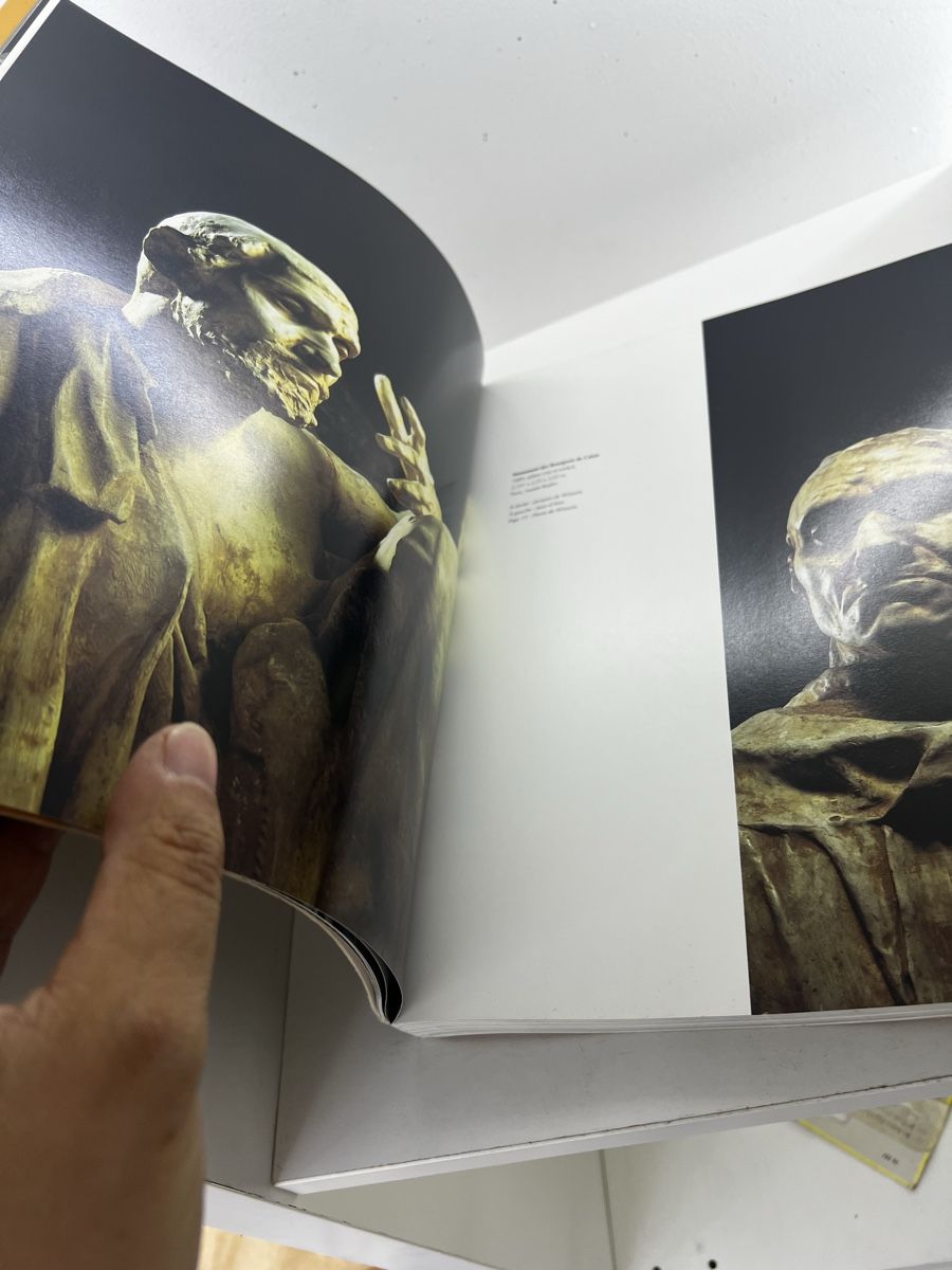 Bücher: Rodin La passion mouvement – Gebraucht aus Wettingen von NickInc 1