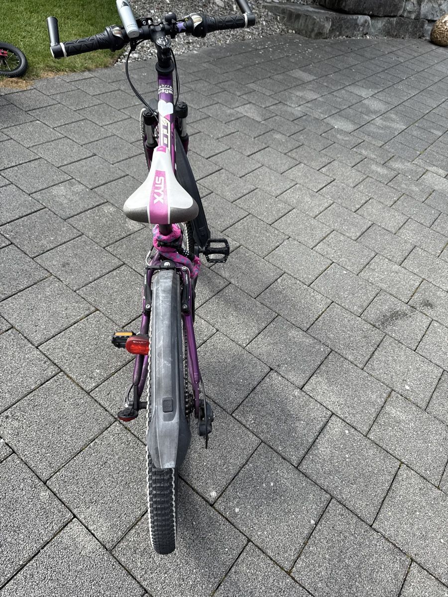 fischer montis em 2127 mountainbike MONTIS EM 1726