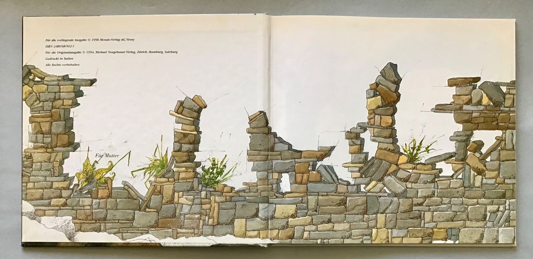 Libri: Das Geheimnis der Morlins – Usato da Bubendorf venduto da Alpenheidi 2