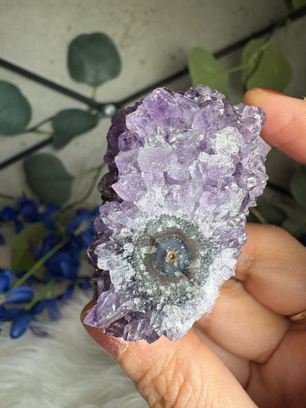 Edelsteine: Uruguay Amethyst – Super High Quality – Neu (gemäss Beschreibung) aus Neuheim von m.hald 5