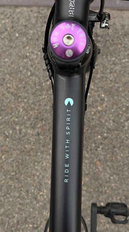 Biciclette: Bowman Palace:R – Usato da Zürich venduto da simgraworldwide 4