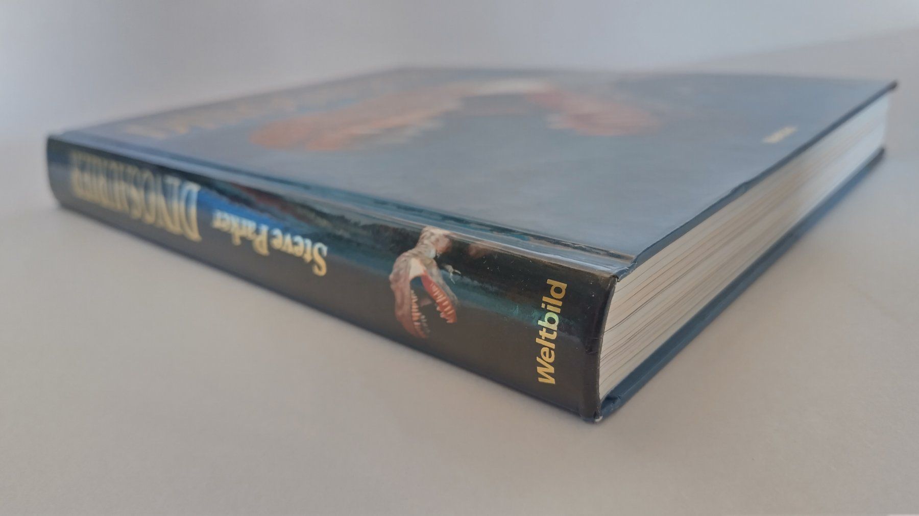 Libri: Dinosaurier / Buch 2004 mit 448 Seiten ab Fr. 14.- – Usato da Bellach venduto da JingleJerry 1