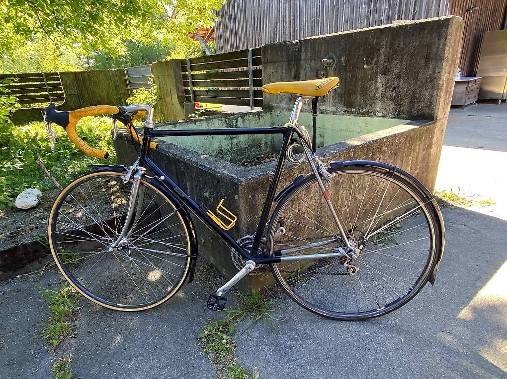 lenkertasche für e-bike klein KLICKfix Roomy 4 L Ausführung:Galaxy S20 FE Pedale Classic Mountain Bike Frog Wanderer