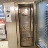 Electrolux Steamer