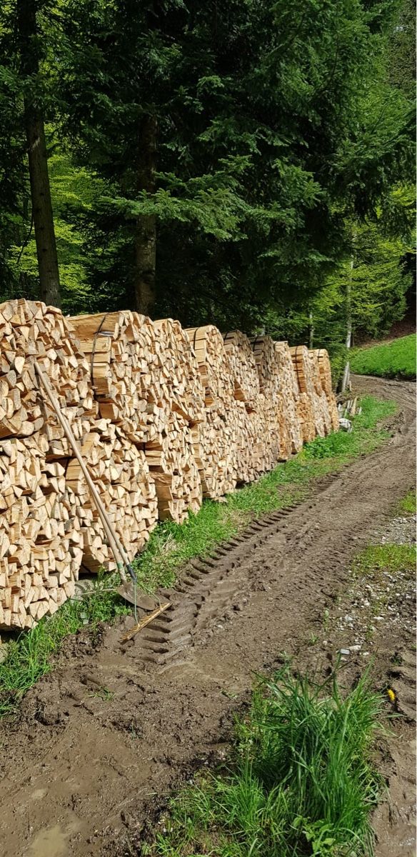 Articoli in legno: Brennholz Sterbund BUCHE – Nuovo (secondo la descrizione) da Ottikon venduto da martin130485 2