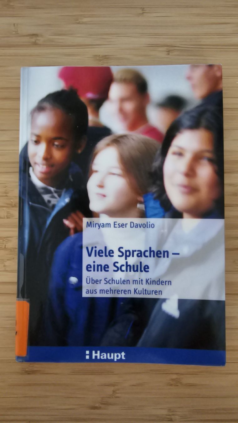 Libri: Viele Sprachen - eine Schule – Usato da Hochdorf venduto da fab00