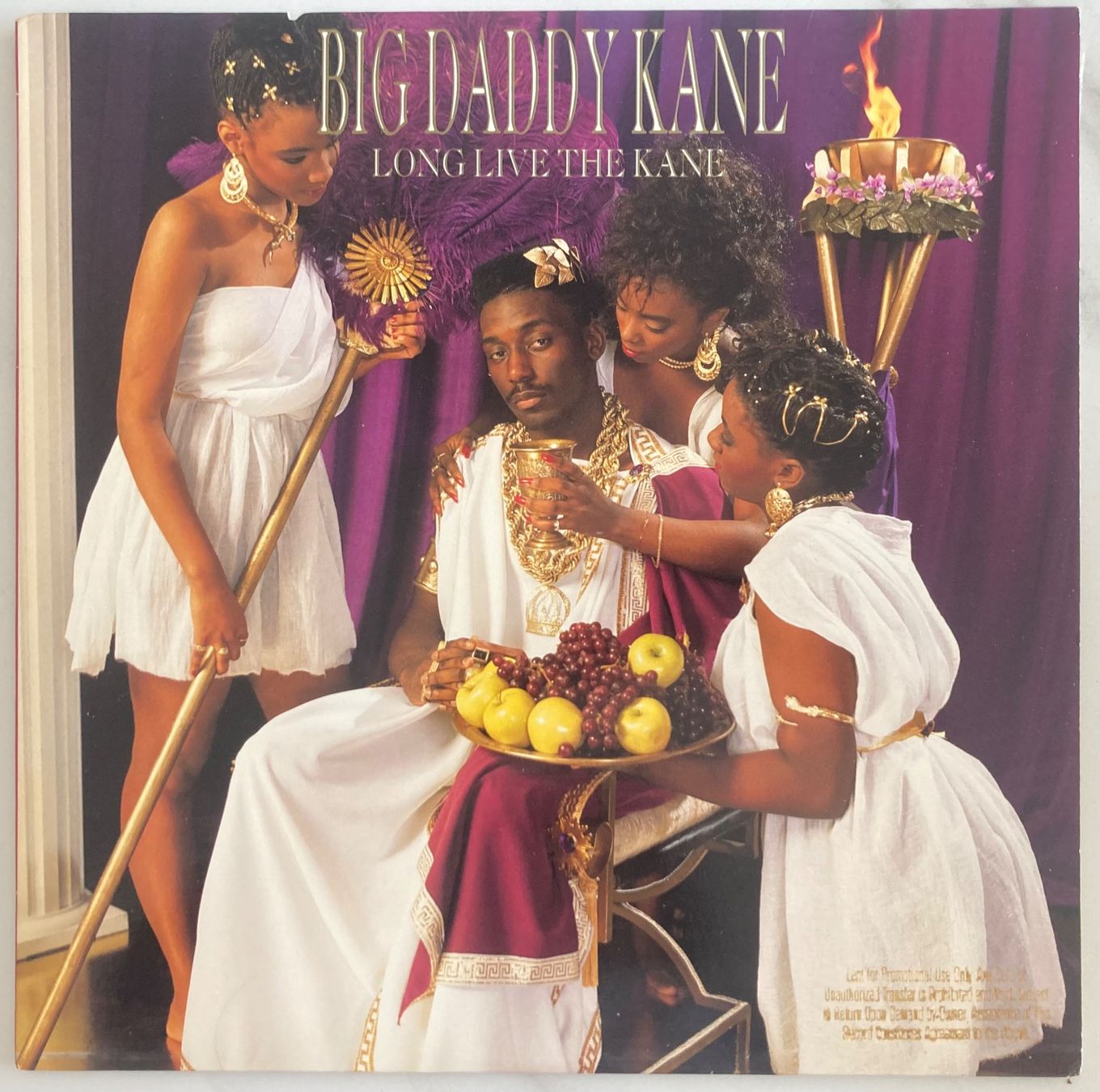 Dischi in vinile: BIG DADDY KANE - LONG LIVE THE KANE – Usato da Poliez-Pittet venduto da Newtown-Records